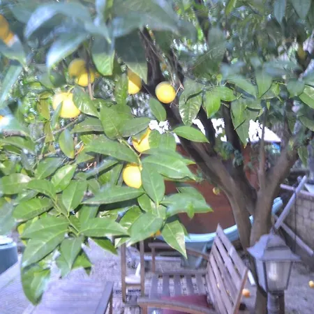 Cotto E Arancia Guest house Naples