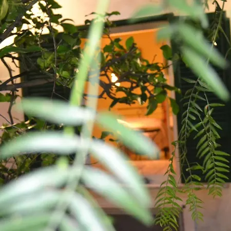 Cotto E Arancia Guest house